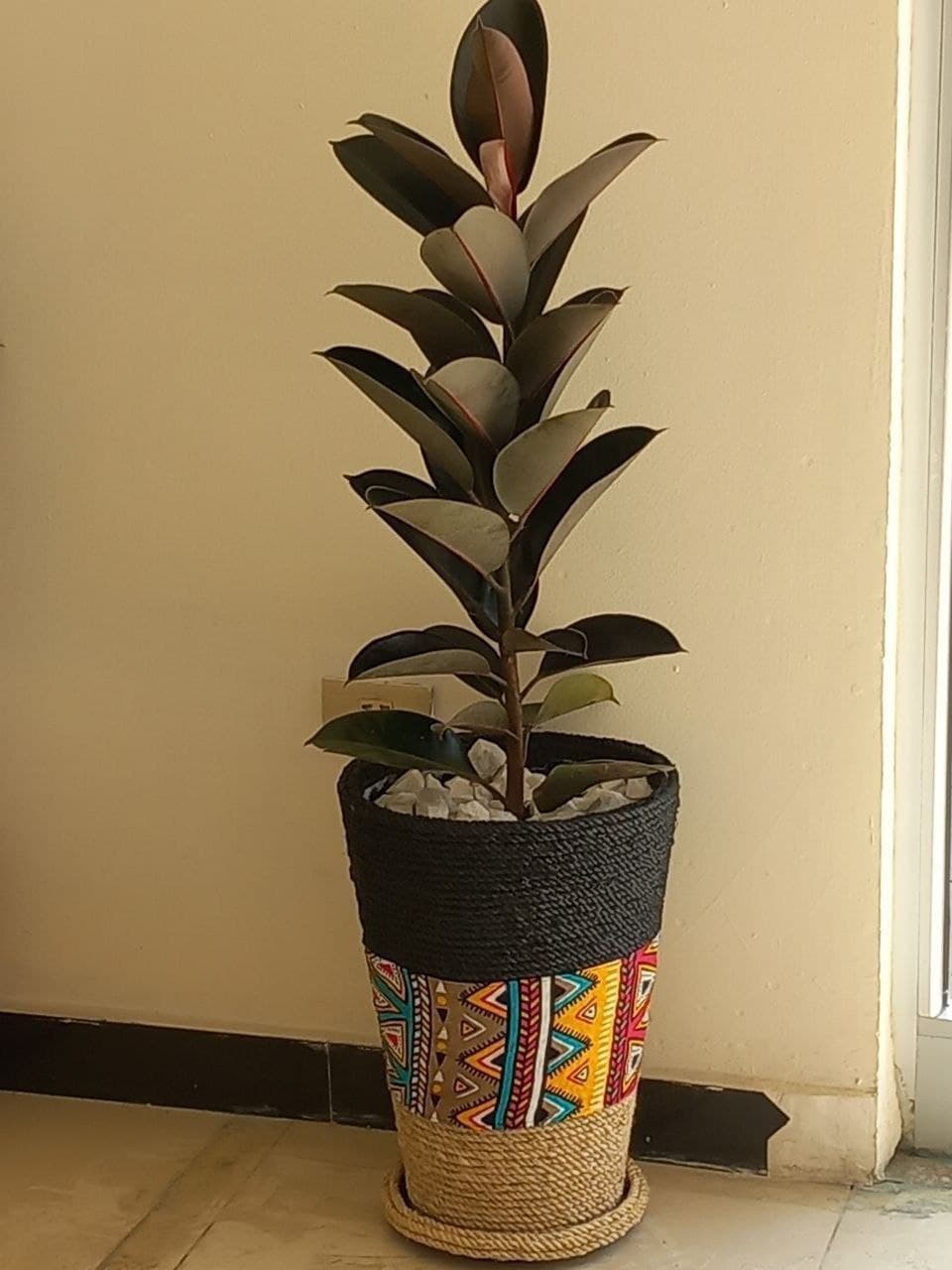 Custom Plastic Flower Pot / የአበባ መትከያ