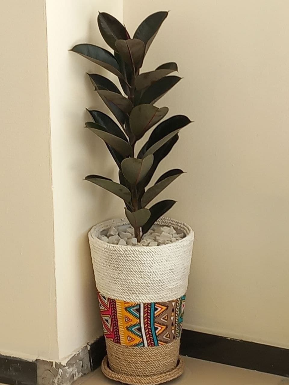 Custom Plastic Flower Pot / የአበባ መትከያ