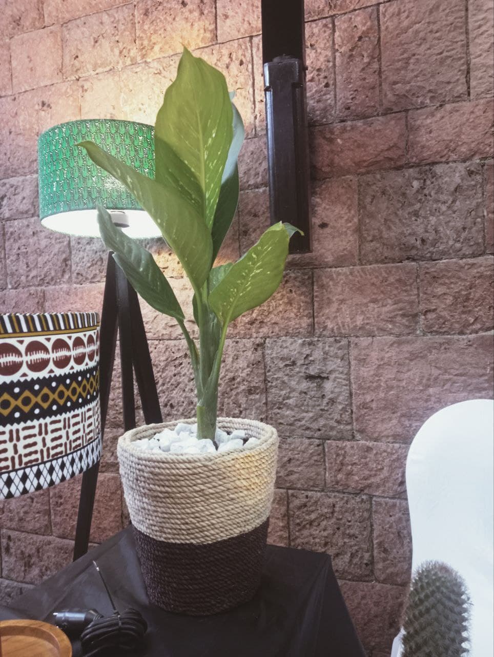 Custom Indoor Planter / የአበባ መትከያ