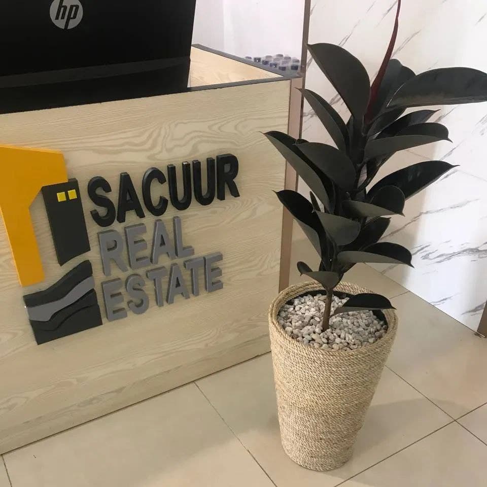 Custom Plastic Flower Pot / የአበባ መትከያ