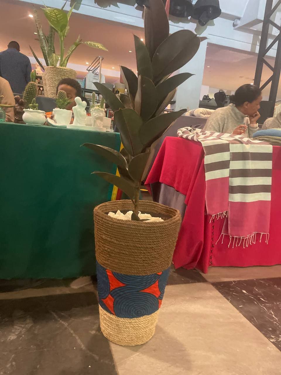 Custom Plastic Flower Pot / የአበባ መትከያ